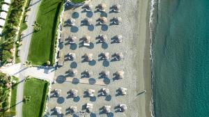 an overhead view of a herd of sheep on the beach at Mediterranean Beach Hotel in Limassol