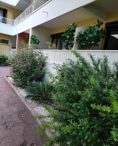 ein Haus mit Büschen vor einem Zaun in der Unterkunft Hébergement tout confort dans logement proche de la gare in Montpellier + 19 Fotos