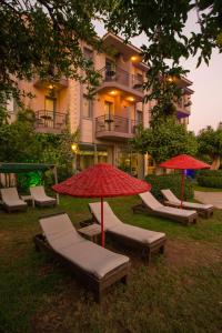 Zahrada ubytování Golden Moon Hotel + 37 fotografií