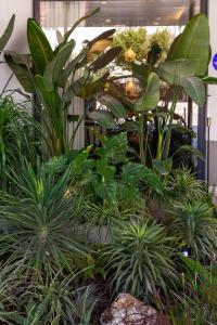 Taman di luar Sherwood Premio Hotel