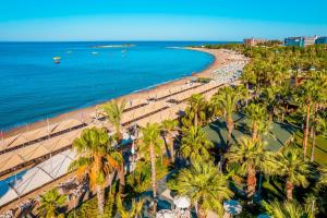 an aerial view of a beach with palm trees and the ocean at Leodikya Kirman Premium - Ultra All Inclusive in Okurcalar