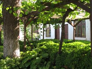 Galeriebild der Unterkunft Family Hotel Regina in Targowischte