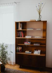 ein Bücherregal mit Büchern und einer Topfpflanze in der Unterkunft Sielanka Dom nad Morzem in Sławoszyno