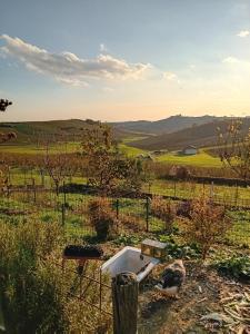 Peisaj natural din apropierea acestui B&B