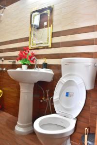 a bathroom with a toilet and a sink and a mirror at Four Bedroom Villa Kasauli l 3km From Mall Road l By Splendid Hotels in Kasauli