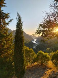 キャンプ場の近くで見られる自然の景観
