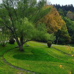 a park with a tree and a bench in a field at Svenshögens vandrarhem in Svenshögen