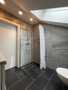 a bathroom with a shower and a toilet at Cityapartments Reutte-Mühl in Reutte +43 photos