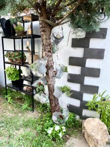 Сад в Artists Guest House