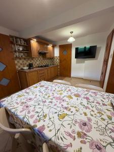 Кухня или мини-кухня в Apartament w Bieszczadach - Willa Stasia
