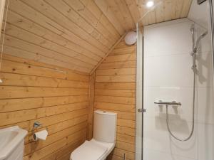 a bathroom with a toilet and a shower at Little Luxe Lodges 2 in Coillemore