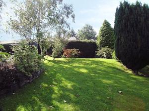 einen Garten mit grünem Rasen mit Bäumen und Sträuchern in der Unterkunft Little Beck in Troutbeck