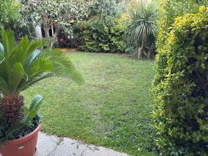 a garden with a lawn with plants and trees at Wonder House Airport in Fiumicino