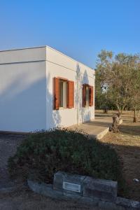 a white building with a dog in front of it at Villetta Lu Jentu in Alezio