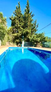Πισίνα στο ή κοντά στο Villa vistas al lago with private pool