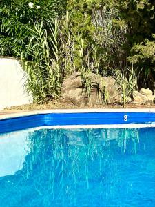 Πισίνα στο ή κοντά στο Villa vistas al lago with private pool +35 φωτογραφίες