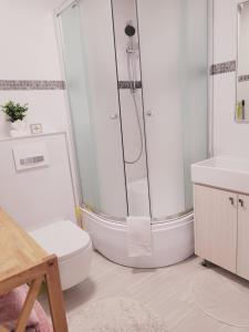 a bathroom with a shower and a toilet and a sink at WHITE APARTMENTS free parking self check-inn in Riga +17 photos