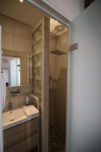 a bathroom with a sink and a shower at Le Petit Lys in Vincennes