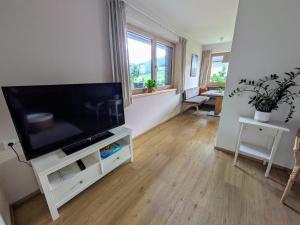 TV a/nebo společenská místnost v ubytování Ferienwohnung Bergzauber