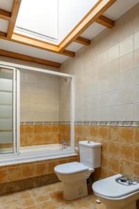 a bathroom with a toilet and a bath tub at Apartamentos Campanas de San Juan in Santiago de Compostela