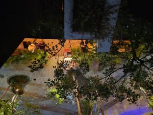 an overhead view of a garden at night at Amour Tulum Luxury Condo Aldea Zama in Tulum