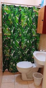 a bathroom with a toilet and a green shower curtain at Villas del Edén in El Pino