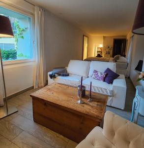 a living room with a couch and a coffee table at Wellness Apartment Steckborn in Steckborn