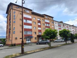 Gallery image of Apartament Sarah in Oţelu Roşu +1 photo