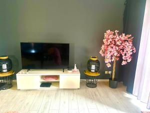 Televízia a/alebo spoločenská miestnosť v ubytovaní Apartament SONIA