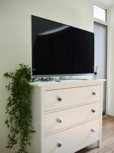 TV a/nebo společenská místnost v ubytování Apartment Friedrich