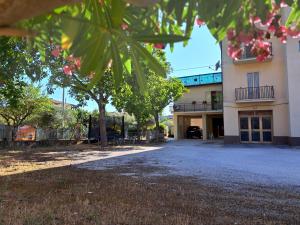 a building with a tree in front of it at La casa di Memy in Gualdo Tadino