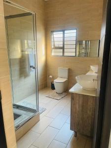 a bathroom with a shower and a toilet and a sink at Tan Ridge Hill in Vosburg