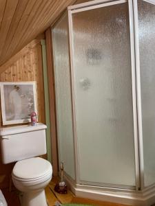 a bathroom with a shower and a toilet at La Forillonne in Gaspé +33 photos