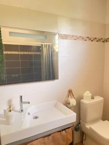un bagno con lavandino e WC di Villa L'Écrin du Colibri Martinique a Le Robert Altre 19 foto