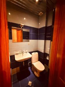 a bathroom with a toilet and a sink at Iceberg Hotel in Tbilisi City