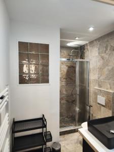 a bathroom with a walk in shower and a sink at Aix Centre-ville in Aix-en-Provence