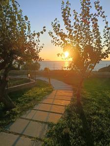 a sunset over the ocean with a tree and a sidewalk at Capo Summer 2 0 Capo Vaticano in Capo Vaticano