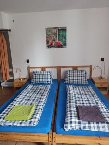 Postel nebo postele na pokoji v ubytování Apartmán u Kočky