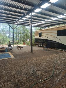 a camper and a dog in a garage with a trailer at Motorhome Casa rodante in San Mateo Río Hondo