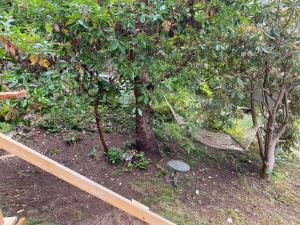 Gallery image of Cedar House Ocean View & Access in Roberts Creek