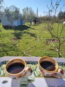 Bilde i galleriet til Lagoon View Cabin i Tale