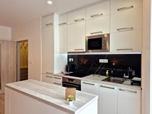 Кухня или мини-кухня в City Center Apartments - Industry Brno
