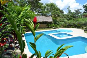 a swimming pool in a garden with a thatch roof at Huasquila Amazon Lodge in Cotundo