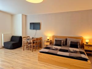 Телевизор и/или развлекательный центр в City Center Apartments - Industry Brno