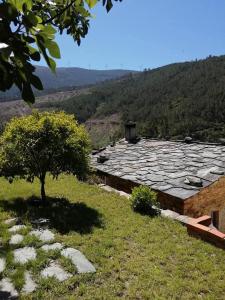 ein Steingebäude mit einem Baum im Gras in der Unterkunft Casa do Galvão -Turismo Rural - Serra da Estrela in Aguincho