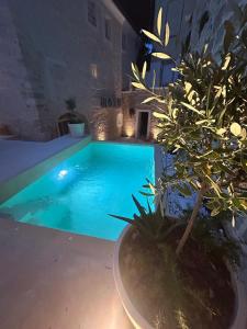 Fotografie z fotogalerie ubytování Casa Tinjan v destinaci Tinjan