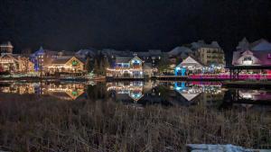 a group of houses lit up at night at Mariner motor hotel in Collingwood