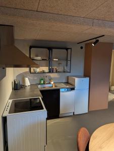 a small kitchen with a stove and a sink at Lofoten Apartment 02 in Leknes