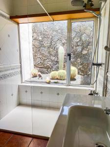 Ένα μπάνιο στο VolKKanrentals Villa Los Cactus +15 φωτογραφίες