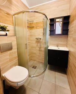 a bathroom with a shower with a toilet and a sink at Domki na Rozanej in Rowy